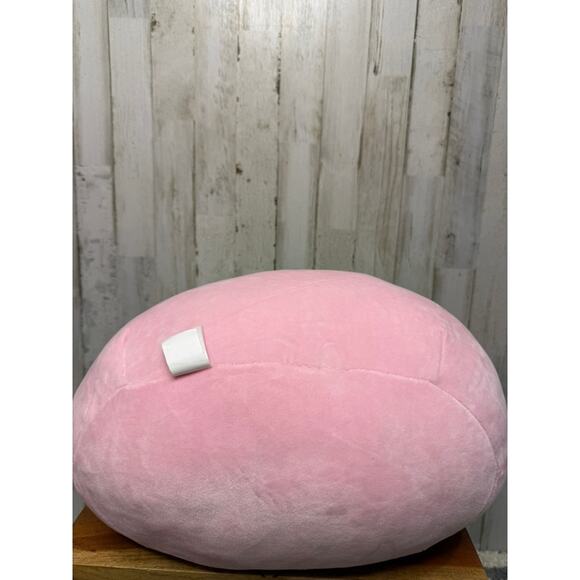 Squishmallows Afiyah Succulent Plant Plush Large Retired 16" - Picture 5 of 5